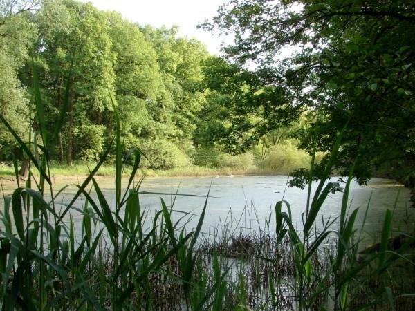 Ferienhaus Bindow Heidesee Экстерьер фото
